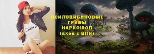 ГАЛЛЮЦИНОГЕННЫЕ ГРИБЫ Абдулино